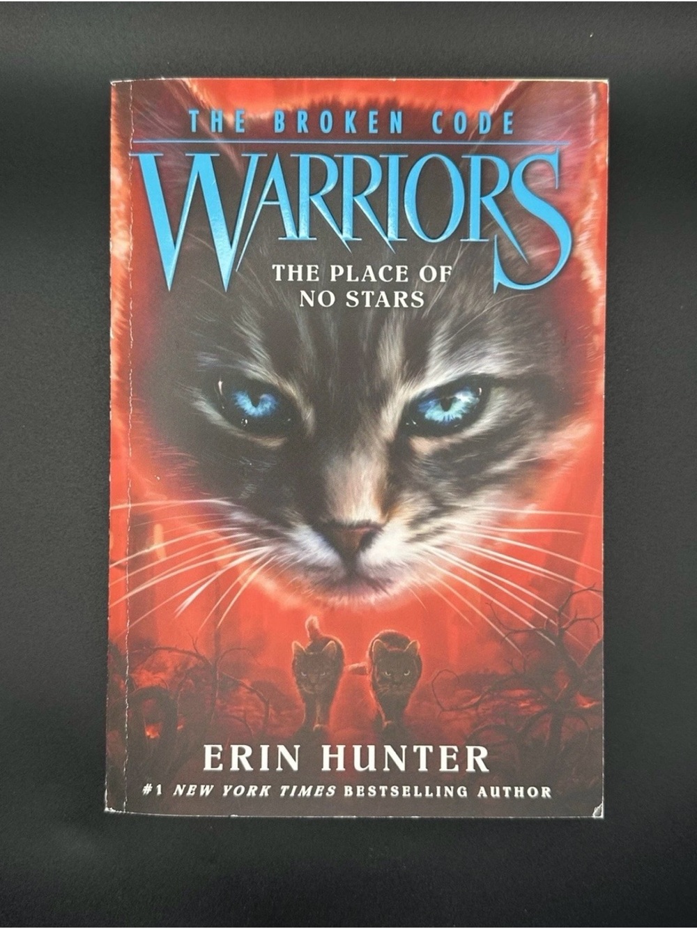 Warriors The Broken Code Book 5 The Place Of No Stars by Erin Hunter